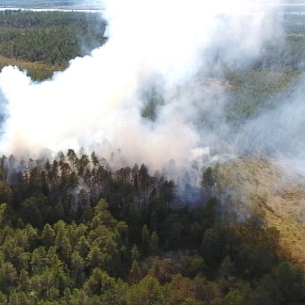 flygbild över skogsområde, kraftig rök