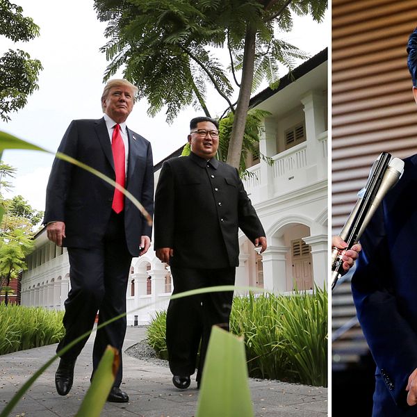 USA:s president Donald Trump fick till ett möte i Singapore med Nordkoreas diktator Kim Jong-Un, nu hoppas Japans premiärminister Shinzo Abe på en liknande träff.