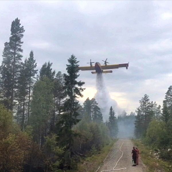 brandflyg vattenbombar skog vid grusväg, små figurer på vägen ser på.