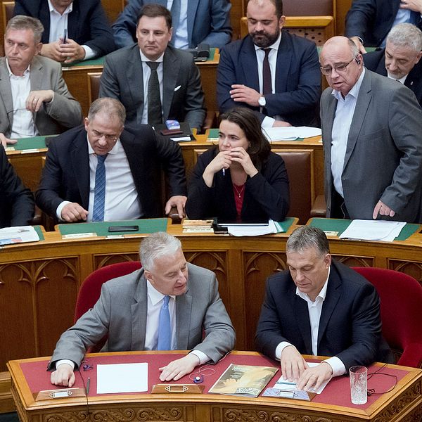 Ungerns premiärminister Viktor Orban i det ungerska parlamentet under onsdagens omröstning.