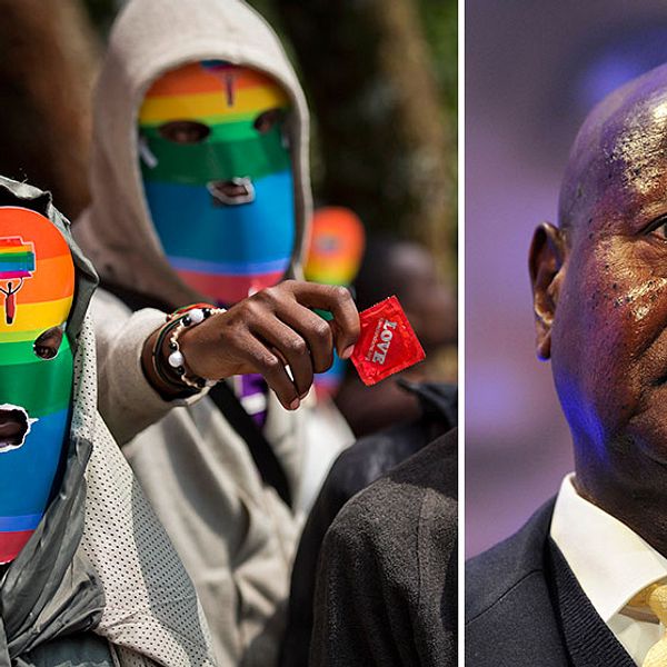 Ugandas president Museveni (t.h.) skrev i dag under en lag som gör att homosexuella riskerar mellan 14 års och livstids fängelse. Till vänster kenyanska hbt-aktivister som demonstrerar för sina ugandiska bröders och systrars rättigheter.