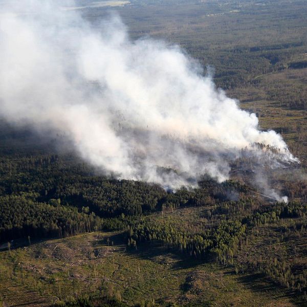 flygbild av rök från en brand i skogen