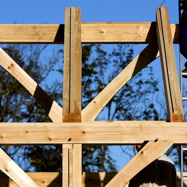 del av trästomme till hus, man ser benen av person står på stege och en man som håller stegen