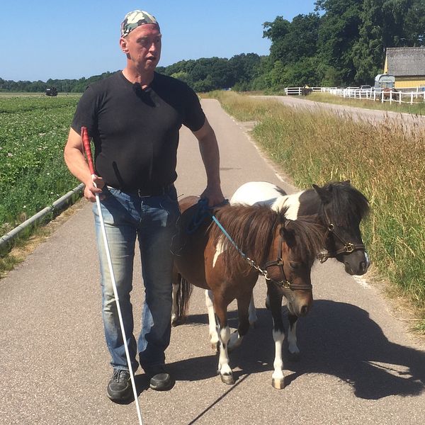 Jan Johannesson och hans ledarhästar.