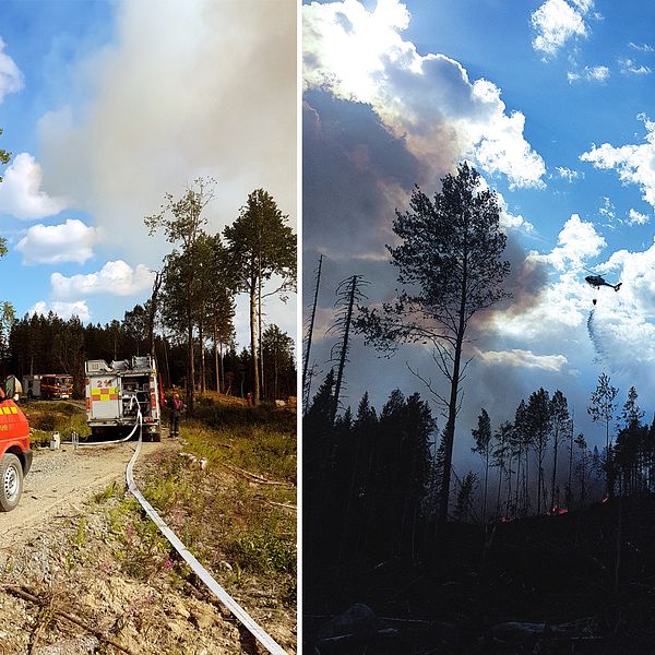 brandbilar på skogsväg, och en helikopter som som flyger över brinnande skog och släpper vatten