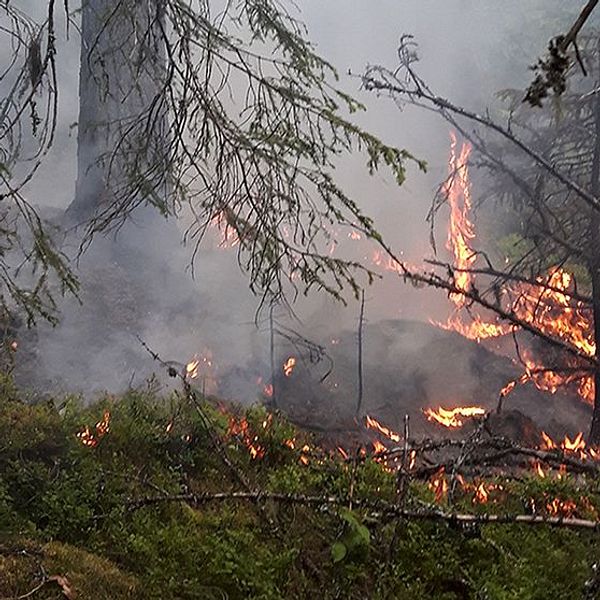Bränder breder ut sig i landet