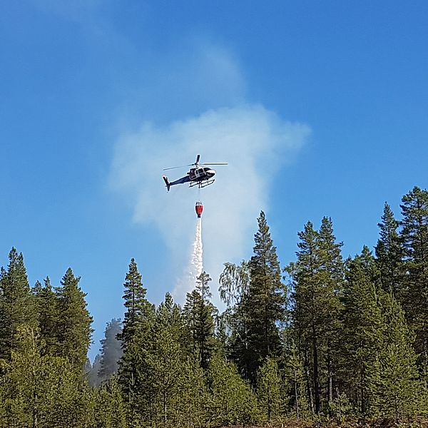 helikopter som vattenbombar skog