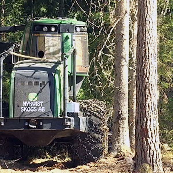 Skogsmaskiner står stilla på grund av brandrisken