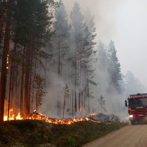 Skogsbranden vid Kårböle strax utanför Ljusdal.