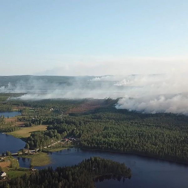 Drönarbild över Enskogen.