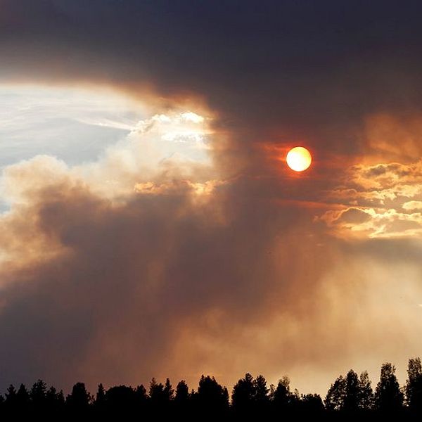 Branden i Ljusdal växer dramatiskt – har fyrdubblats