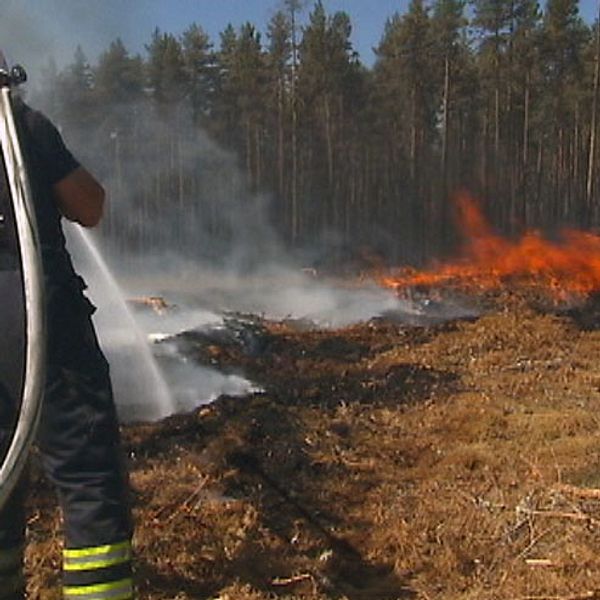 Alla skogsbränder sliter hårt på dem som deltar i släckningsarbetet