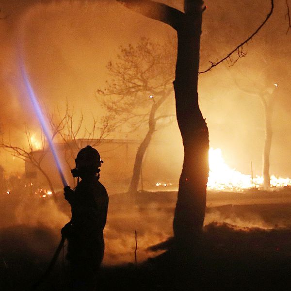En brandman sprutar vatten på en brand i staden Mati, öster om Aten.