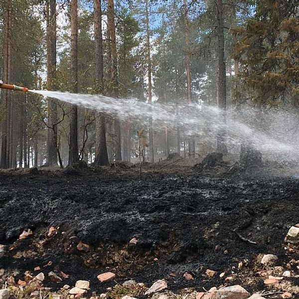 Det senaste om bränderna i Sverige