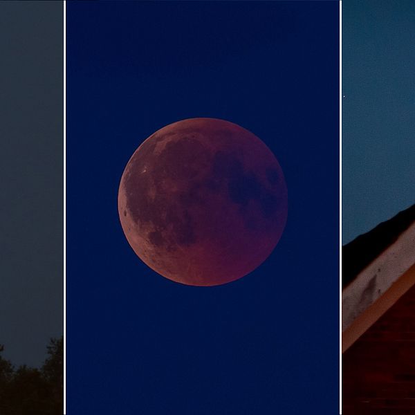 Här är läsarnas egna bilder på blodmånen. I videoklippet kan du se Nasas film av månförmörkelsen och blodmånen.