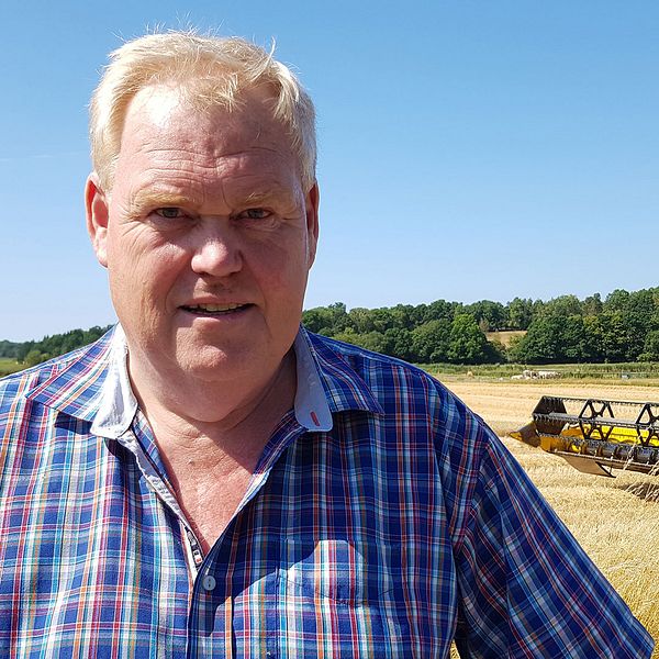 Lantbrukaren Carl-Göran Svensson räknar bara med hälften av en normal skörd.