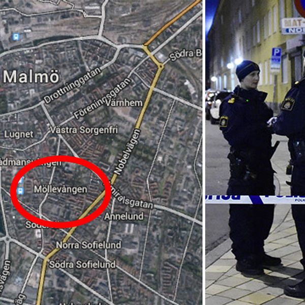 Den skånske nazist som misstänks för mordförsöket på Kristianstadsgatan har utlämnats till Sverige.