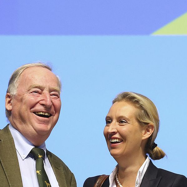 AFD-ledarna Alexander Gauland och Alice Weidel gläds åt de höga siffrorna för partiet i opinionsmätningarna.