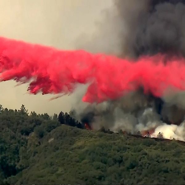 Brandflygplan släcker skogsbrand i Kalifornien.