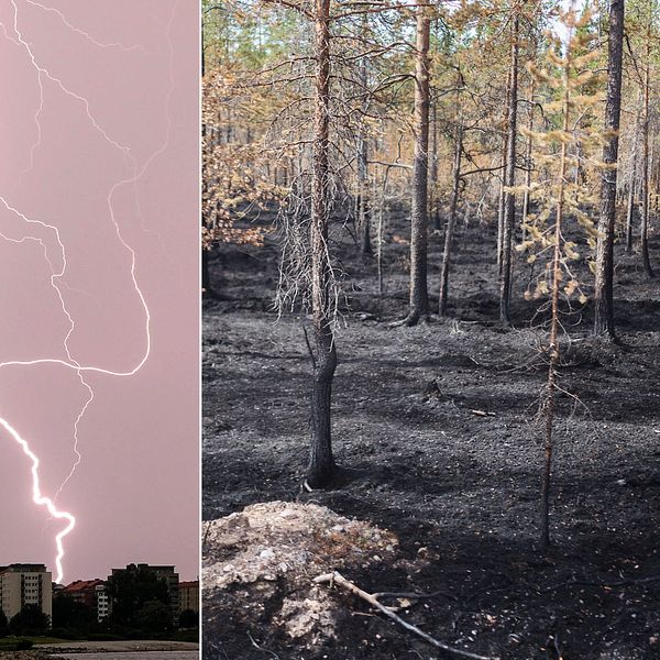 Blixtnedslag och eldad skog.