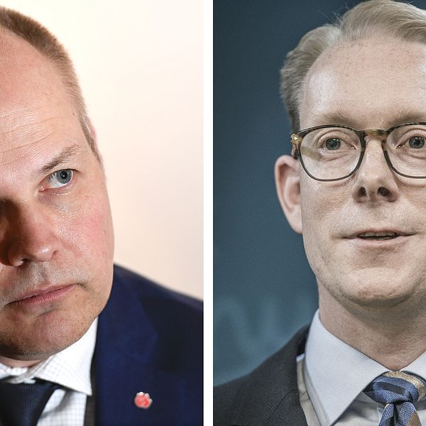 Morgan Johansson och Tobias Billström