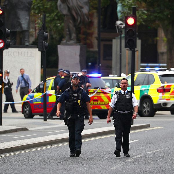 Parlamentet i London är stängt och omringat av polis sedan en man kört in i en betongbarriär och skadat flera personer.