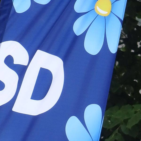 Sverigedemokraternas logotype på flagga