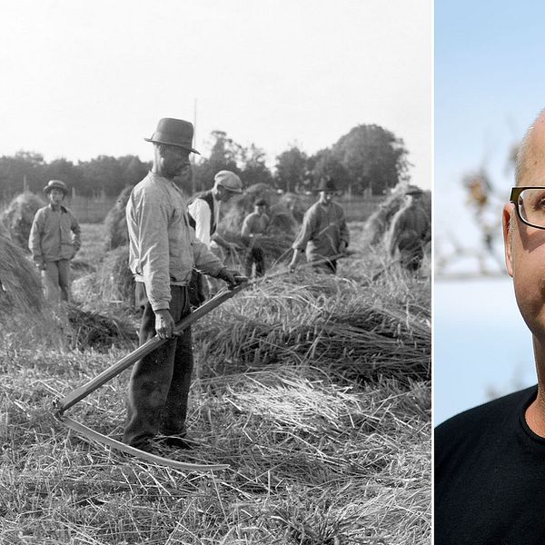 ”Det fanns mat men den fördelades till de som kunde betala tillbaka, så maten nådde inte dem som verkligen behövde den”, berättar författaren Magnus Västerbro.