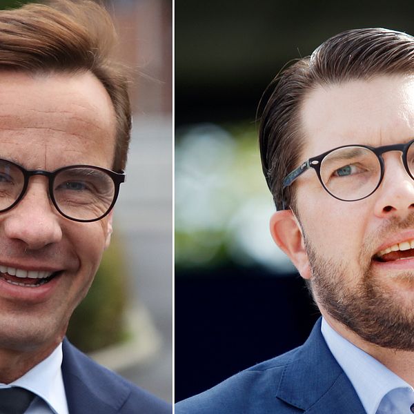 ”Sverigedemokraternas nedgång beror sannolikt på Moderaternas framgång”, , säger Torbjörn Sjöström, vd för Novus.