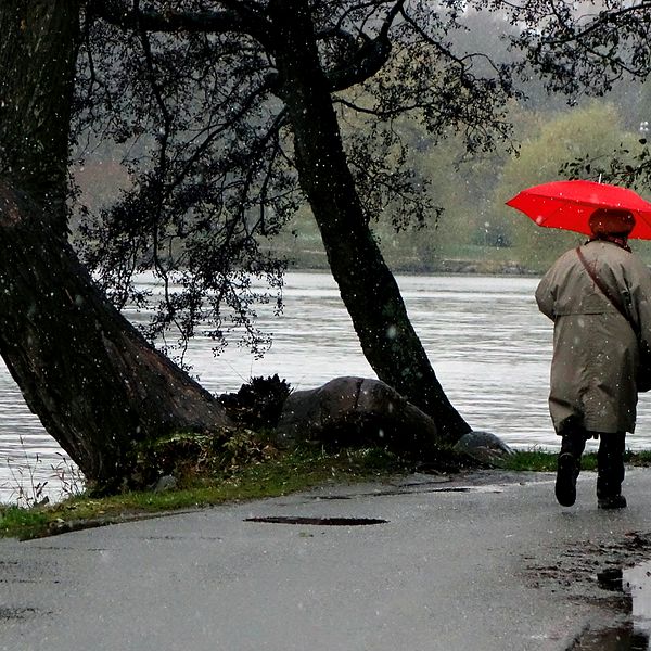 Kvinna med rött paraply promenerar i höstväder på Norr Mälarstrands promenadväg