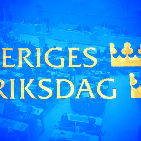 Riksdagen beslutar bland annat om budgeten och nya lagar.