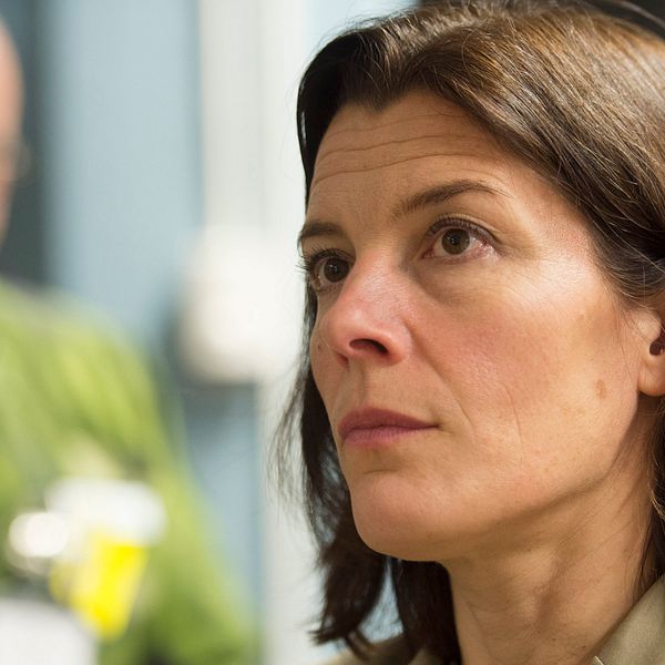 Försvarsminister Karin Enström (M)