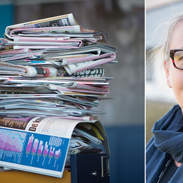 Kersti Forsberg menar att svenska medier inte speglar vad väljarna är mest intresserade av.