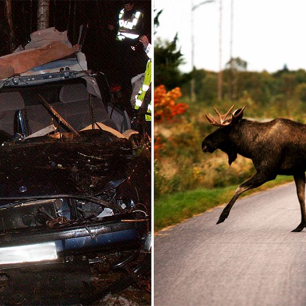 Vid den här olyckan 2004 omkom en man efter att ha kolliderat med en älg.