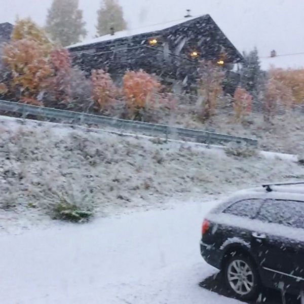 snöfall över höstträd, bil och hus