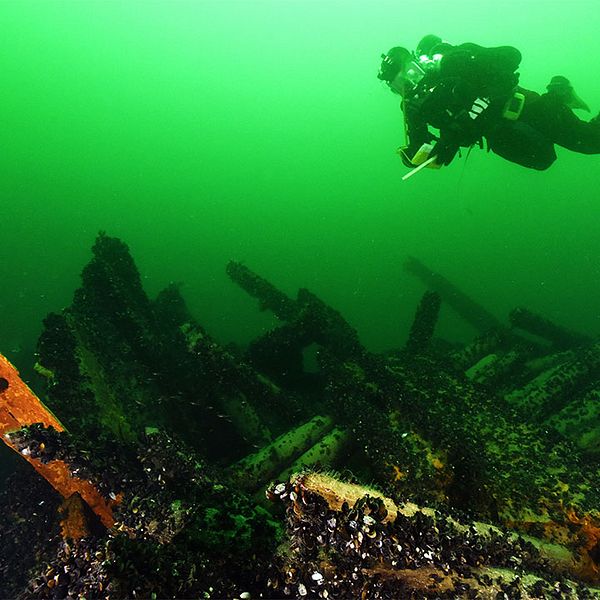 Sjöhistoriska museets marinarkeologer undersöker på länsstyrelsens uppdrag ett par ångfartygsvrak utanför Gotland. Undersökningsresultaten kommer att ligga till grund när länsstyrelsen ska besluta om vraken ska fornlämningsförklaras. På bilden marinarkeolog Mikael Fredholm vid vraket av Princess som förliste utanför Östergarn 1888 på väg från Sankt Petersburg till London.