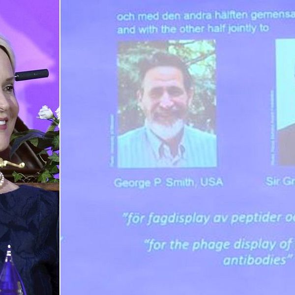 Frances H Arnold från USA, George P Smith från USA och Gregory P Winter från Storbritannien får dela på årets Nobelpris i kemi.