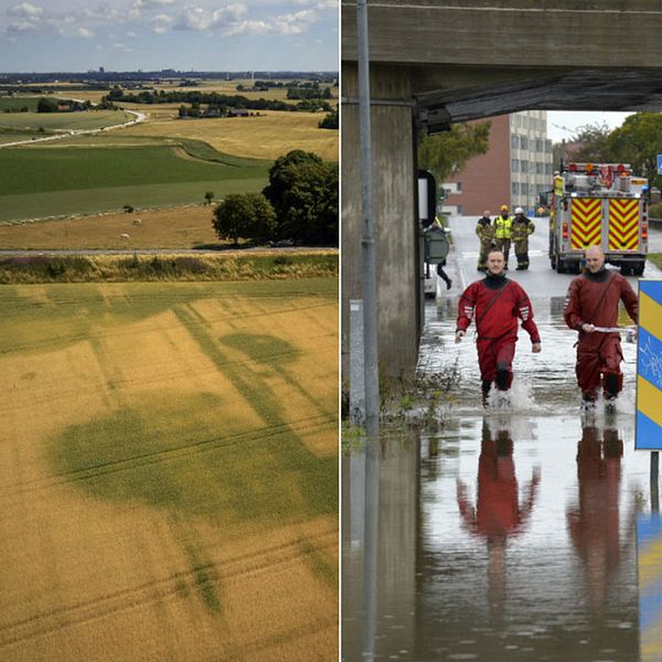 Enligt rapporten kan Skåne förvänta sig både att drabbas av torka likt den vi såg i somras, och även väldigt blöta perioder