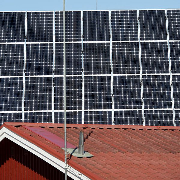 Allt fler satsar på solceller. Under 2017 ökade kapaciteten från landets alla anläggningar med 65 procent, enligt statistik från SCB.