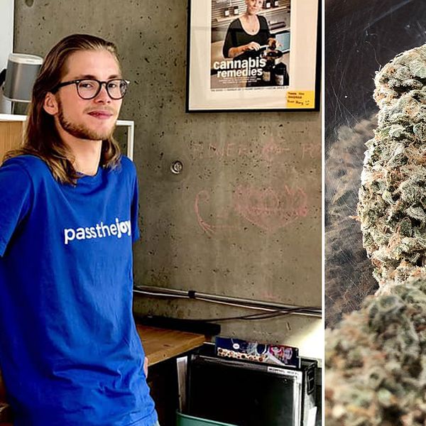 Peter Backlund och cannabis