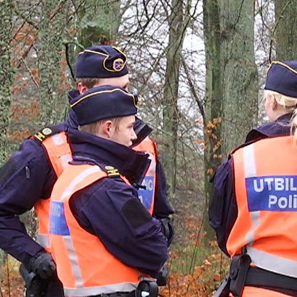 Tre polisstudenter i orange väst står vända mot varandra utomhus. Skog i bakgrunden.