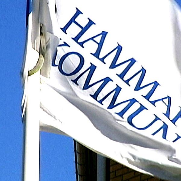 Hammarö kommunflagga