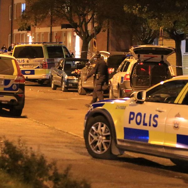 Ett flertal polisbilar är på plats i bostadsområdet efter skottlossningen.