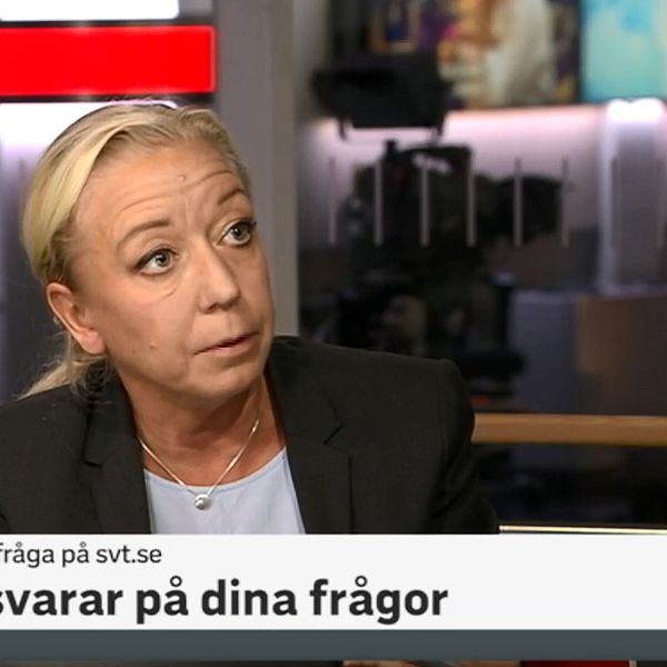 SVT:s politikreporter Elisabeth Marmorstein