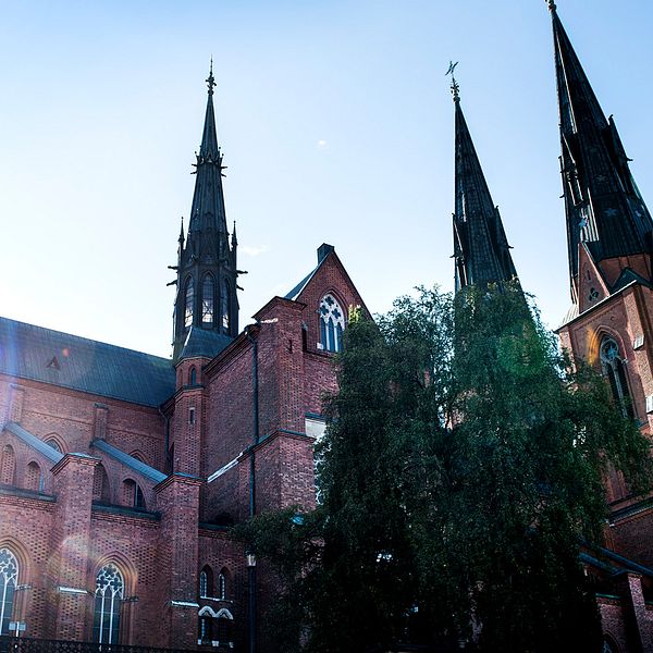 Uppsala domkyrka