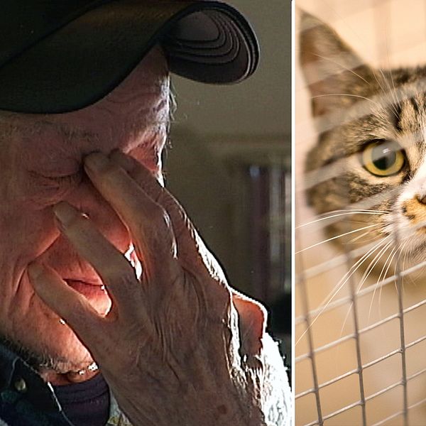 närbild på en gammal man  med handen delvis för ansiktet, samt en katt bakom galler