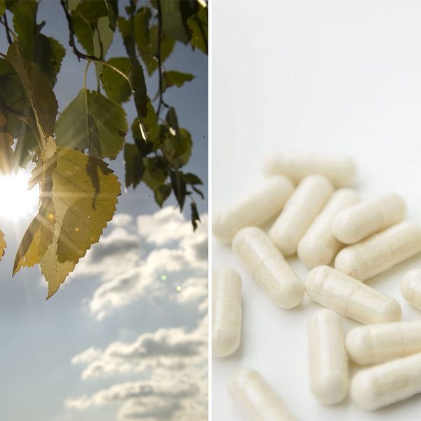 Sol, höstlöv och vitaminer