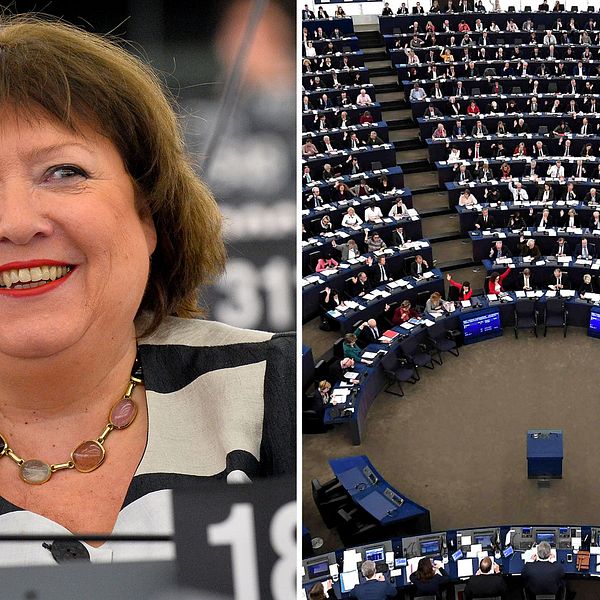 EU-parlamentet fick inte sin vilja igenom. Dagmar Roth-Behrendt, socialdemokratisk EU-parlamentariker, var en av dem som kämpade för hårdare regler.
