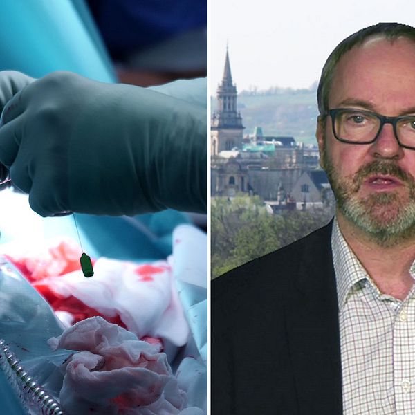 Professor Carl Heneghan tycker inte att den nya EU-lagen är tillräckligt skarp för att komma till rätta med problemen som uppstår med implantat.