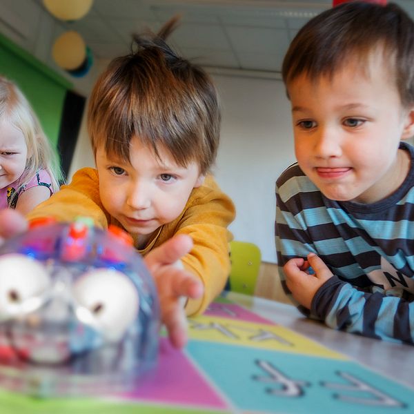 Wilma Verle 5 år, Edwin Åsåker 5 år och Albin Ullström 4 år försöker programmera roboten att gå dit de vill.